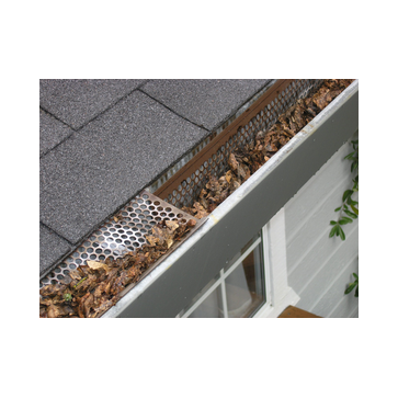 Wij reinigen alle soorten dakgoten 