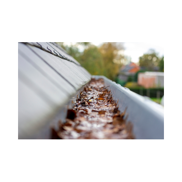 Dakgoten schoonmaken